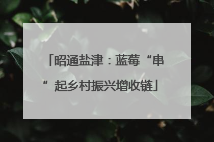昭通盐津：蓝莓“串”起乡村振兴增收链