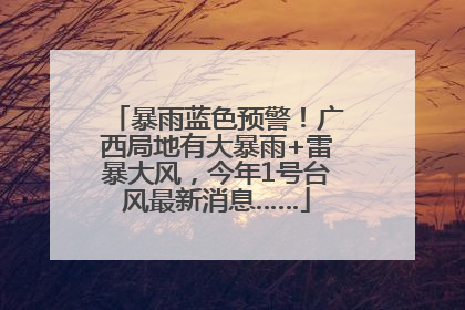 暴雨蓝色预警！广西局地有大暴雨+雷暴大风，今年1号台风最新消息……