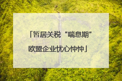 暂居关税“喘息期” 欧盟企业忧心忡忡