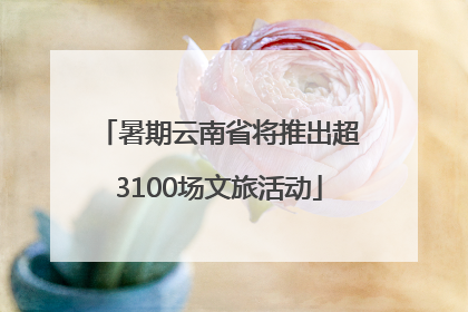 暑期云南省将推出超3100场文旅活动