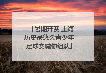 暑期开赛 上海历史最悠久青少年足球赛喊你组队