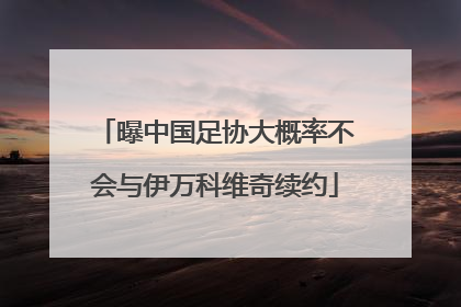曝中国足协大概率不会与伊万科维奇续约