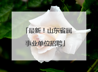 最新！山东省属事业单位招聘