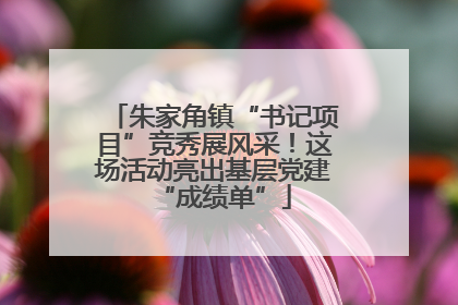 朱家角镇“书记项目”竞秀展风采！这场活动亮出基层党建“成绩单”