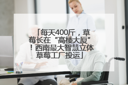 每天400斤，草莓长在“高楼大厦”！西南最大智慧立体草莓工厂投运
