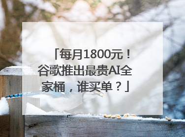 每月1800元！谷歌推出最贵AI全家桶，谁买单？