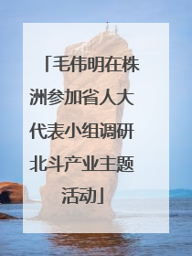 毛伟明在株洲参加省人大代表小组调研北斗产业主题活动