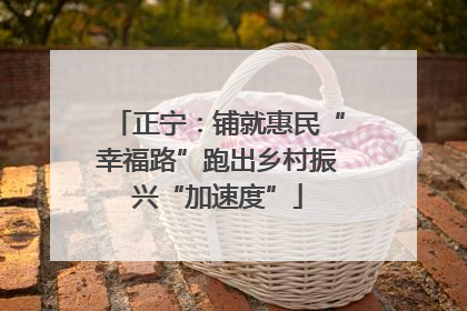 正宁：铺就惠民“幸福路”跑出乡村振兴“加速度”