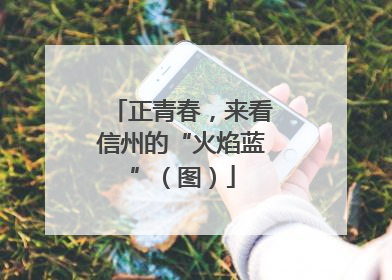 正青春，来看信州的“火焰蓝”（图）