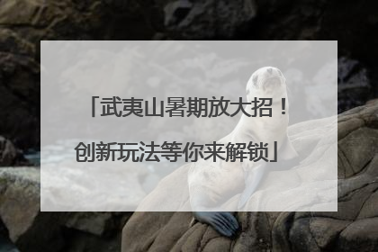 武夷山暑期放大招！创新玩法等你来解锁