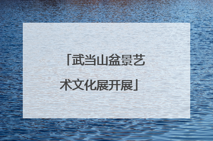武当山盆景艺术文化展开展