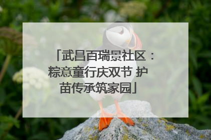 武昌百瑞景社区：粽意童行庆双节 护苗传承筑家园