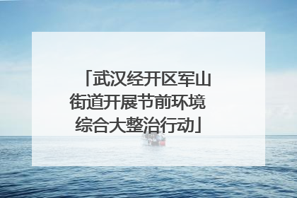 武汉经开区军山街道开展节前环境综合大整治行动