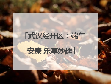 武汉经开区：端午安康 乐享妙趣