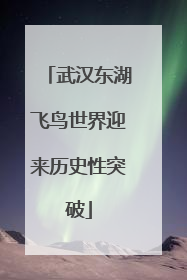 武汉东湖飞鸟世界迎来历史性突破
