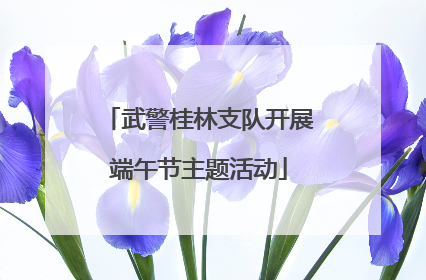 武警桂林支队开展端午节主题活动