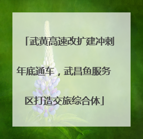 武黄高速改扩建冲刺年底通车，武昌鱼服务区打造交旅综合体