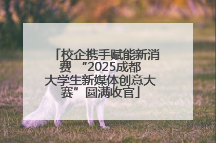 校企携手赋能新消费 “2025成都大学生新媒体创意大赛”圆满收官