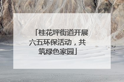 桂花坪街道开展六五环保活动，共筑绿色家园
