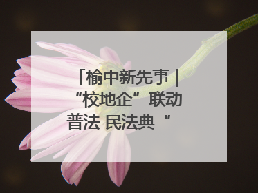 榆中新先事｜“校地企”联动普法 民法典“声”入人心