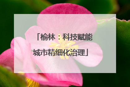 榆林：科技赋能城市精细化治理
