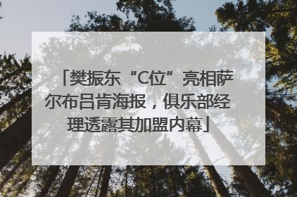 樊振东“C位”亮相萨尔布吕肯海报，俱乐部经理透露其加盟内幕