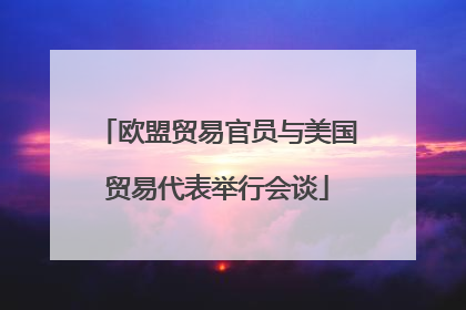 欧盟贸易官员与美国贸易代表举行会谈