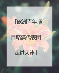 欧洲青年项目路演代表团走进天津