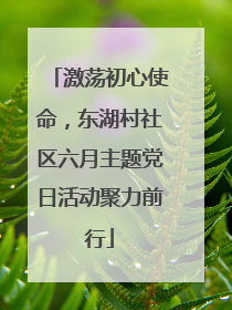 激荡初心使命，东湖村社区六月主题党日活动聚力前行
