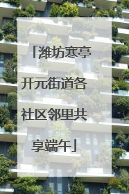 潍坊寒亭开元街道各社区邻里共享端午