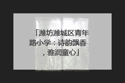 潍坊潍城区青年路小学：诗韵飘香，雅润童心