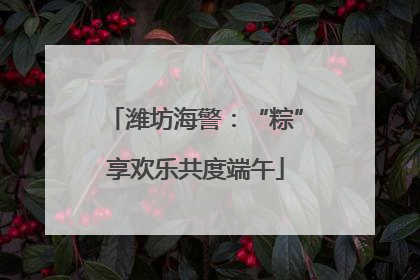 潍坊海警：“粽”享欢乐共度端午