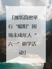 潍坊高密举行“暖阳”困境未成年人“六一”研学活动