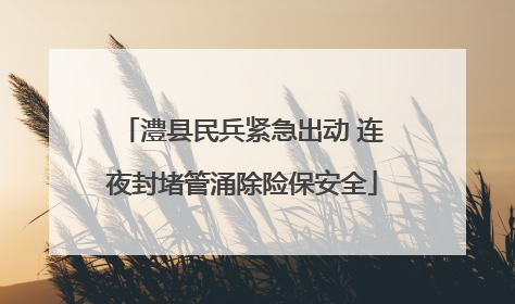 澧县民兵紧急出动 连夜封堵管涌除险保安全