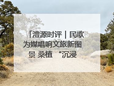 澧源时评｜民歌为媒唱响文旅新图景 桑植 “沉浸式” 文旅融合的破圈启示