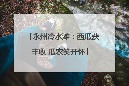 永州冷水滩：西瓜获丰收 瓜农笑开怀