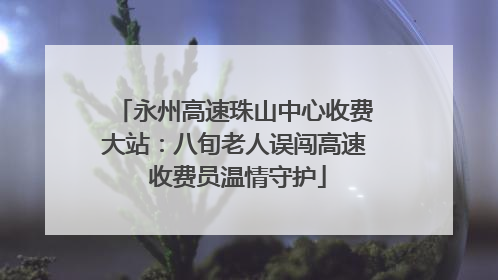 永州高速珠山中心收费大站：八旬老人误闯高速 收费员温情守护