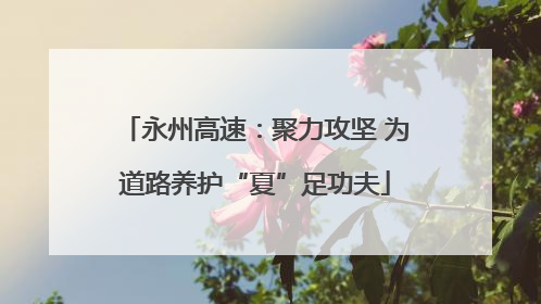 永州高速：聚力攻坚 为道路养护“夏”足功夫