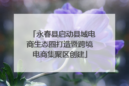 永春县启动县域电商生态圈打造暨跨境电商集聚区创建