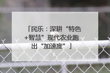 民乐：深耕“特色+智慧”现代农业跑出“加速度”