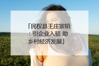 民权县王庄寨镇：引企业入驻 助乡村经济发展