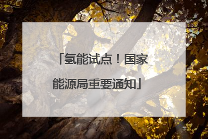 氢能试点！国家能源局重要通知