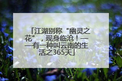江湖别称“幽灵之花”，现身临沧！——有一种叫云南的生活之365天
