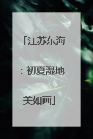江苏东海：初夏湿地美如画
