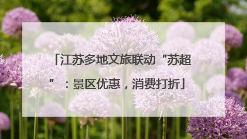 江苏多地文旅联动“苏超”：景区优惠，消费打折