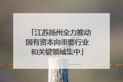 江苏扬州全力推动国有资本向重要行业和关键领域集中