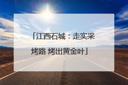 江西石城：走实采烤路 烤出黄金叶