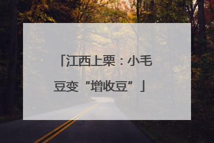 江西上栗：小毛豆变“增收豆”