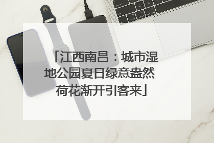 江西南昌：城市湿地公园夏日绿意盎然 荷花渐开引客来