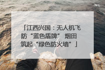 江西兴国：无人机飞防“蓝色盾牌” 烟田筑起“绿色防火墙”